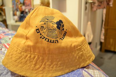 כובע טמבל