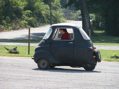 פיל P50