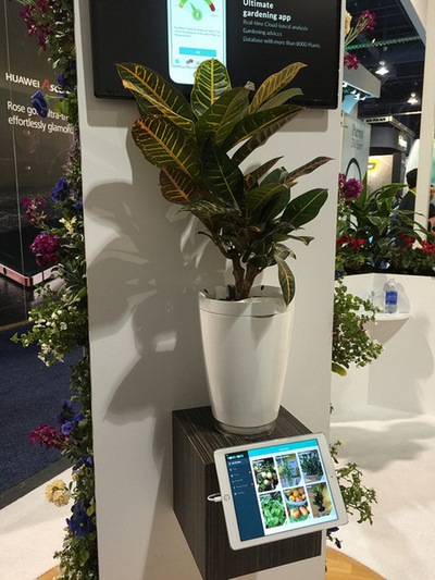 Parrot Pot
