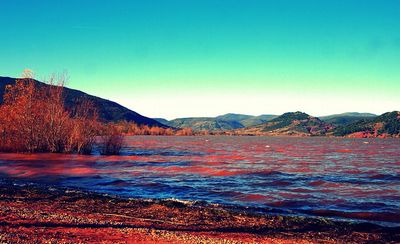 החוף האדום של האי הורמוז