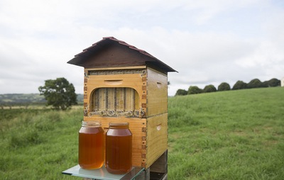 Flow Hive