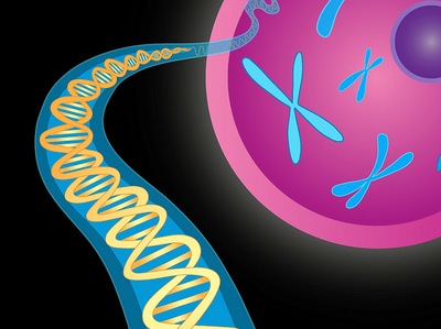 DNA