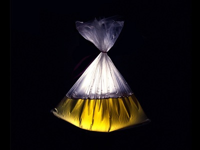 צחצוח שיניים בשתן