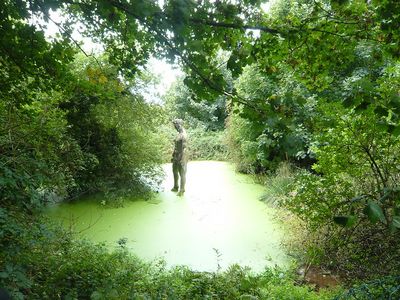 השטן של ג'רסי