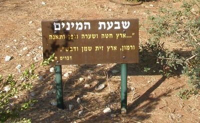 שבעת המינים