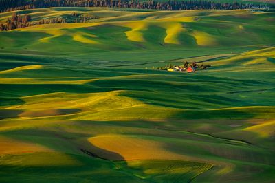 חקלאות מדברית