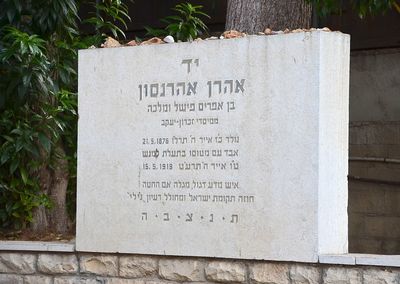 אהרון אהרונסון