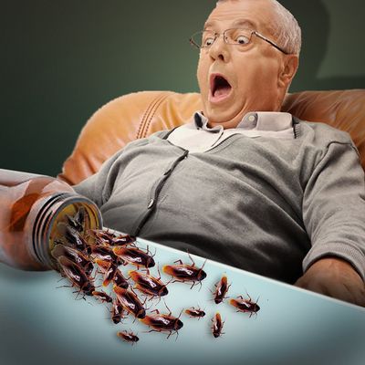 פחד מג'וקים