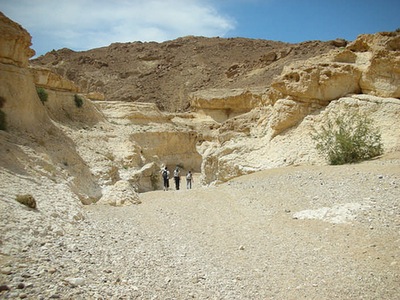 נגב