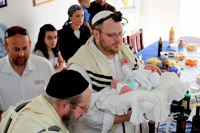 ברית מילה