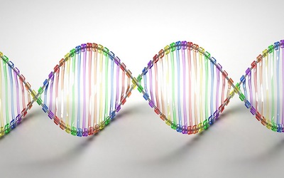 DNA