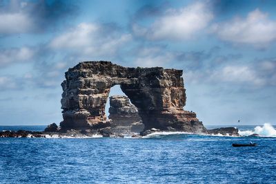 קשת דארווין