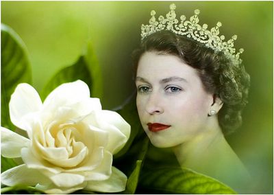 אליזבת השנייה