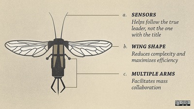 RoboBee